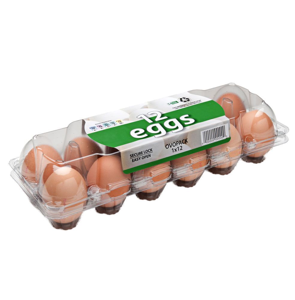 OVOPACK 1x12 R-PET without label