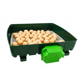 Εκκολαπτική μηχανή River thumbnail