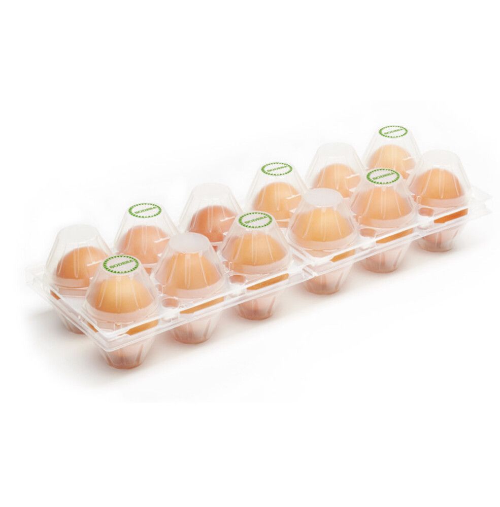 R-pet egg case 2x6