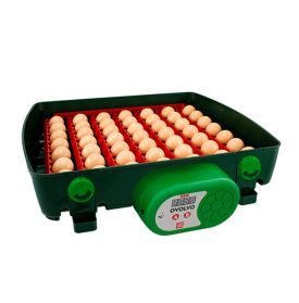 Digital incubator ET TOP 49 Wi-Fi with OVOLVO egg turning unit