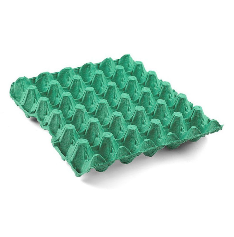 Multi K carton 30 eggs Green