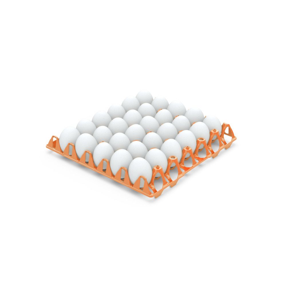 Plastic 30 egg tray