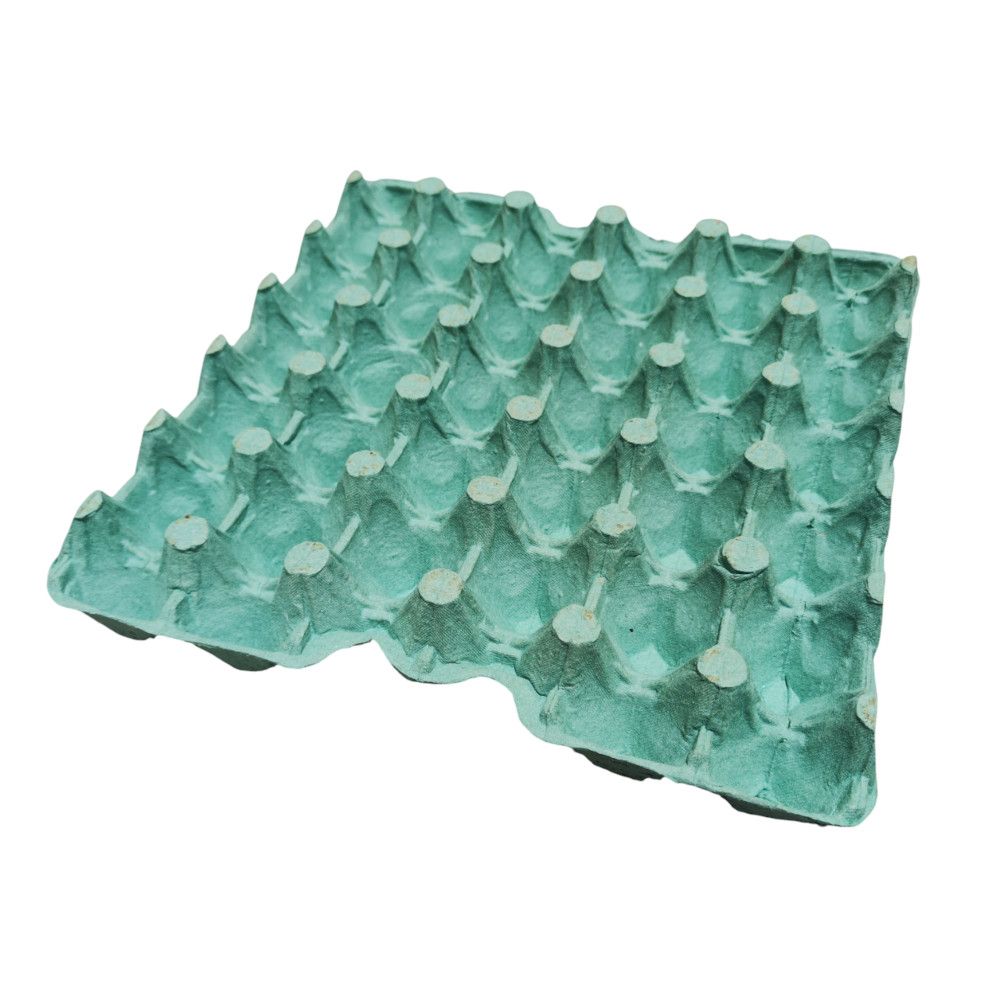 CDL EGG TRAY 20 LBS Green