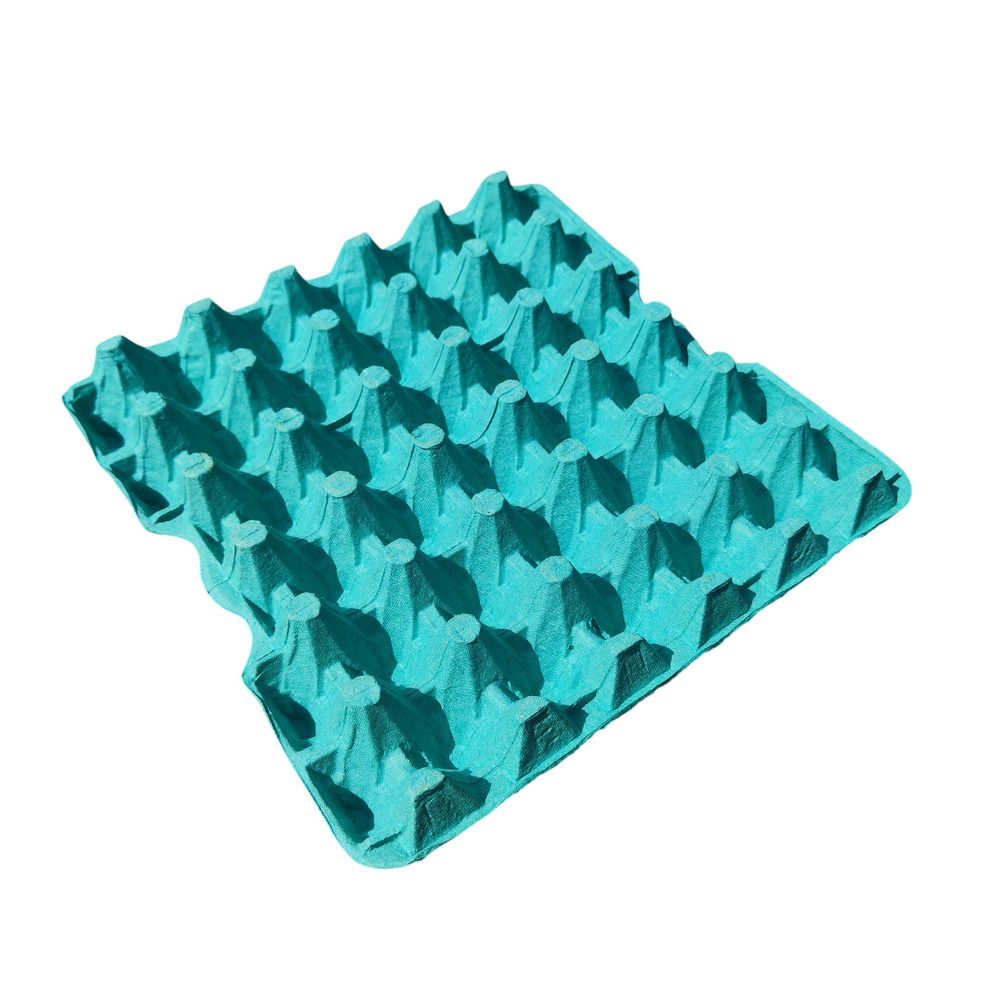 EGG TRAY 15,5 LBS Green